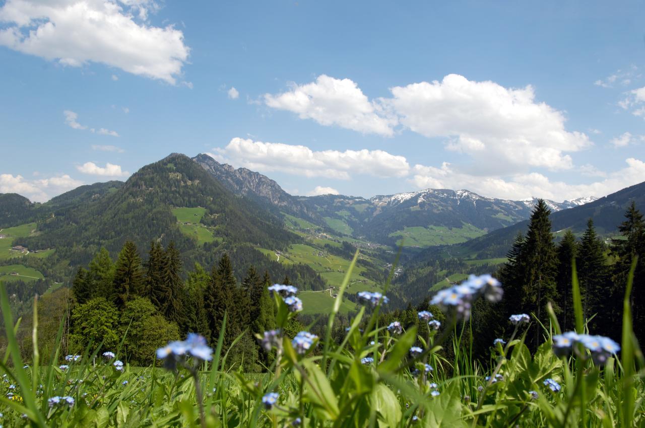 Bergchalet Rauchenhof Reith im Alpbachtal Esterno foto